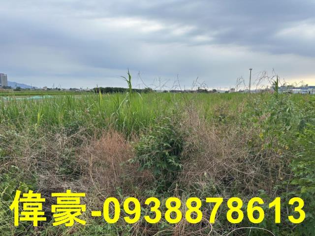 高雄橋頭農地-1