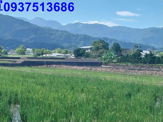 宜蘭三星農地-8