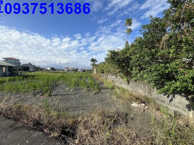 宜蘭羅東農地-12