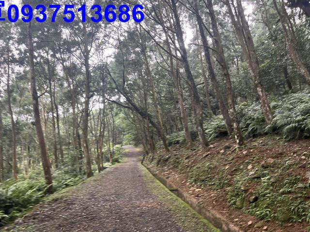 宜蘭礁溪農地-8