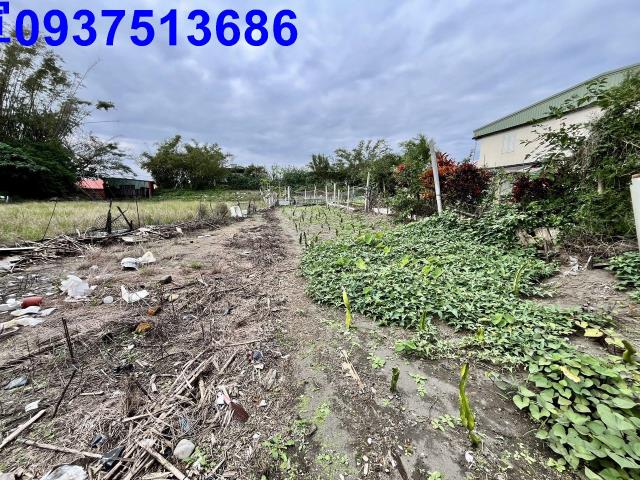 宜蘭壯圍農地-5