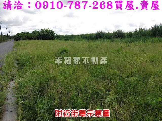 台南農地-7