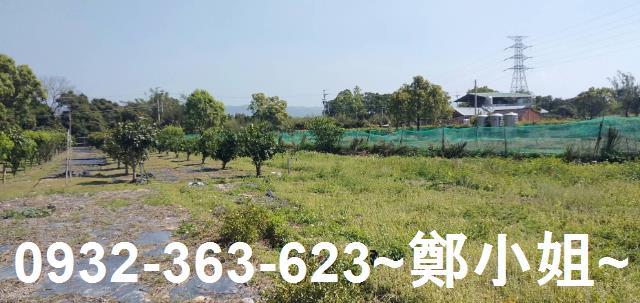 苗栗通霄農地-14