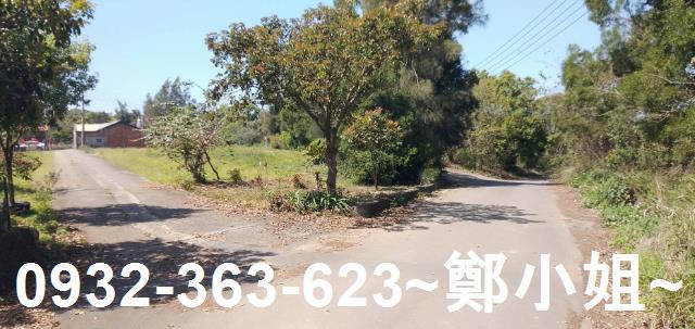 苗栗通霄農地-15