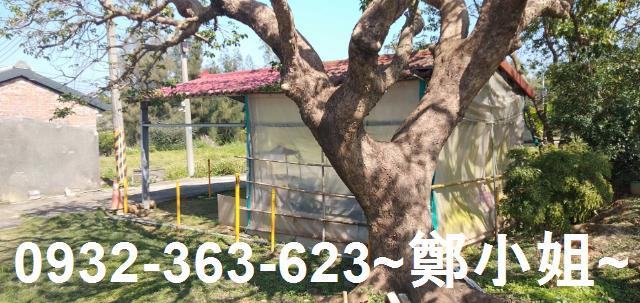 苗栗通霄農地-3