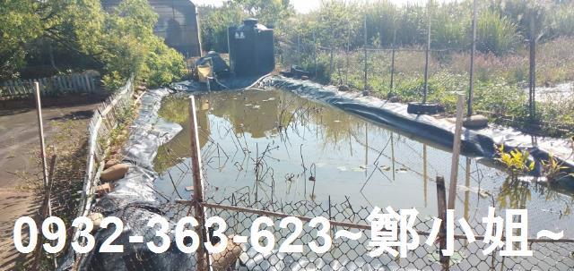 苗栗通霄農地-6