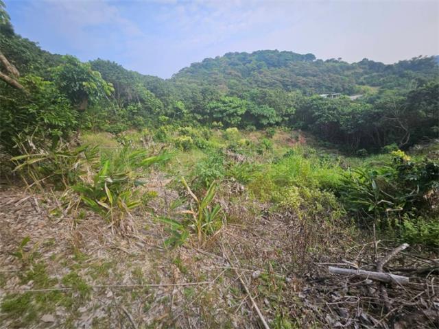 高雄大樹農地-7