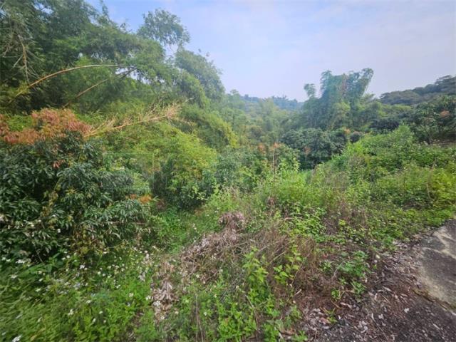 高雄大樹農地-5