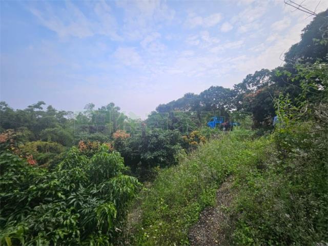 高雄大樹農地-9