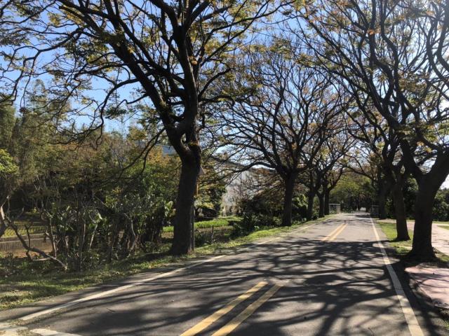 台中神岡農地-6