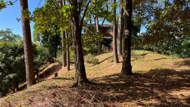 新竹北埔山坡地-8