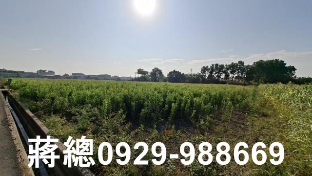 善化農地-6