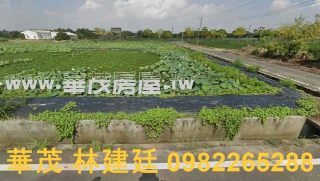 官田法拍農地-1