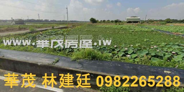 官田法拍農地-2