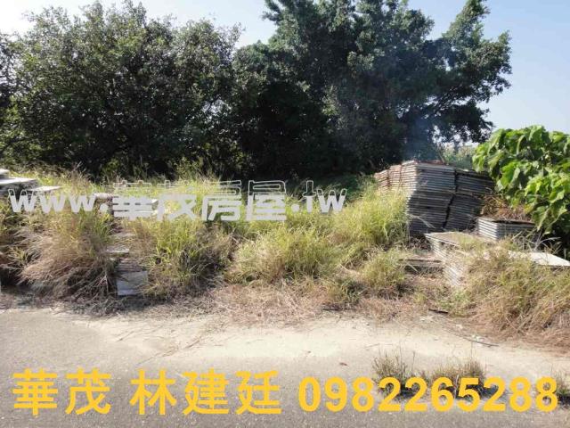 將軍法拍農地-10