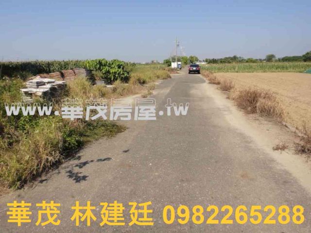 將軍法拍農地-12