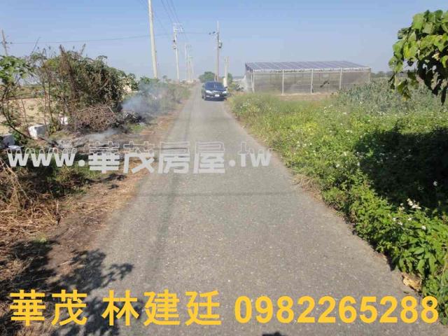 將軍法拍農地-9