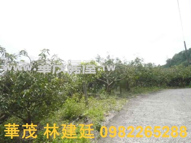 台南玉井農地法拍-3