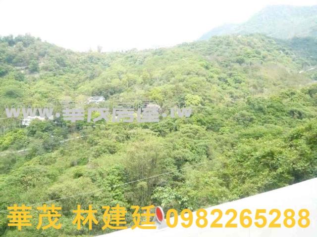 台南玉井農地法拍-4