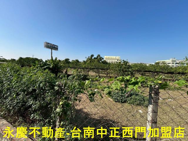 台南麻豆農地-6