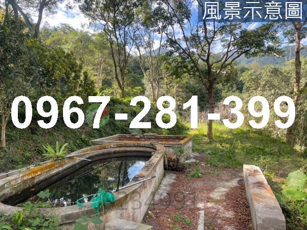 苗栗南庄農地-12