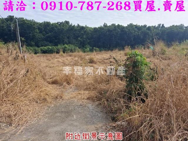 台南楠西農地-3