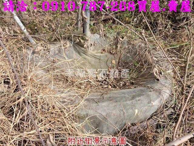 台南楠西農地-5