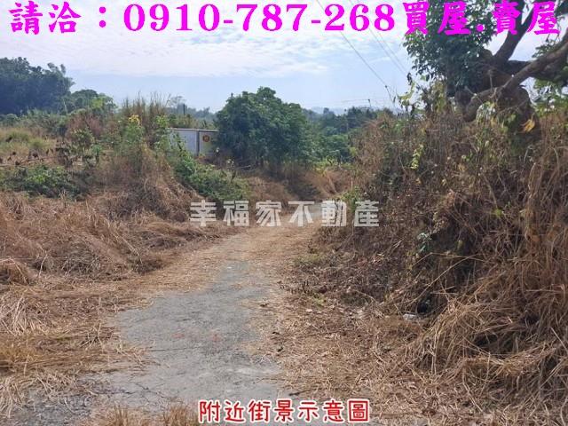 台南楠西農地-7