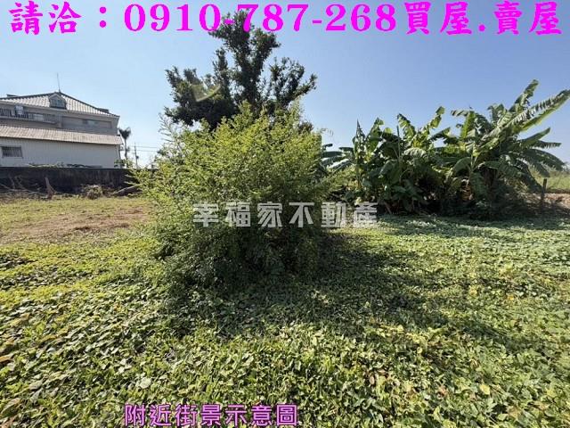 台南鹽水建地-11