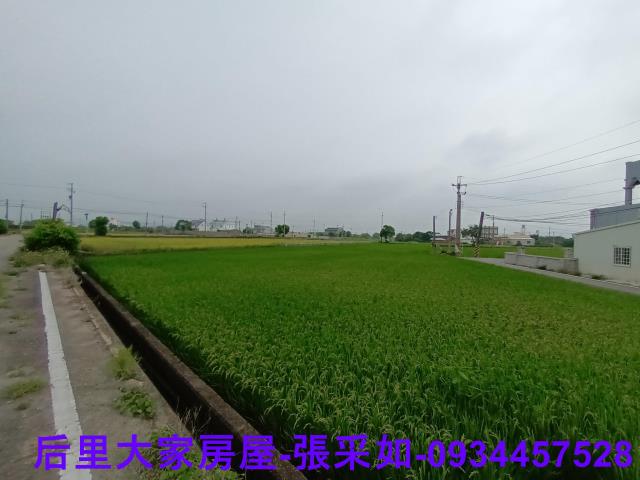 苗栗苑裡農地-1