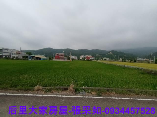 苗栗苑裡農地-6