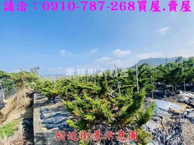 台南楠西農地-12