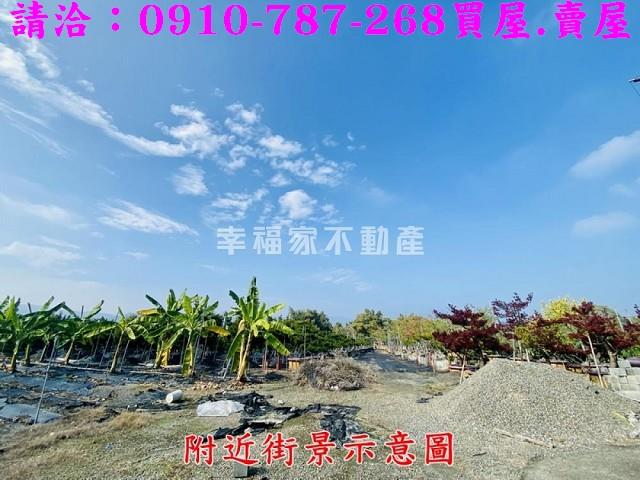 台南楠西農地-7