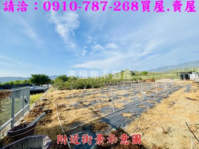 台南楠西農地-9