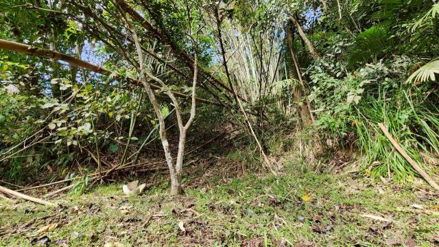 新竹北埔山坡地-3