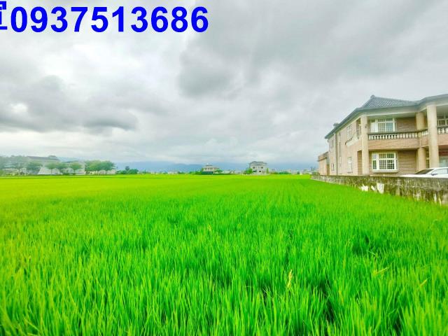 宜蘭宜蘭市農地-4