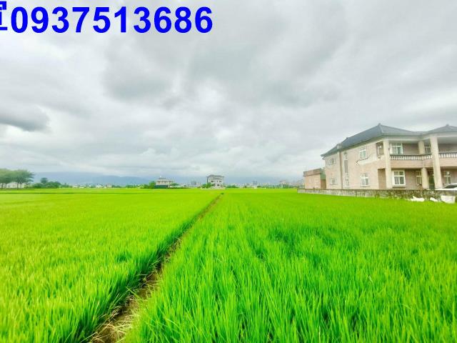 宜蘭宜蘭市農地-5