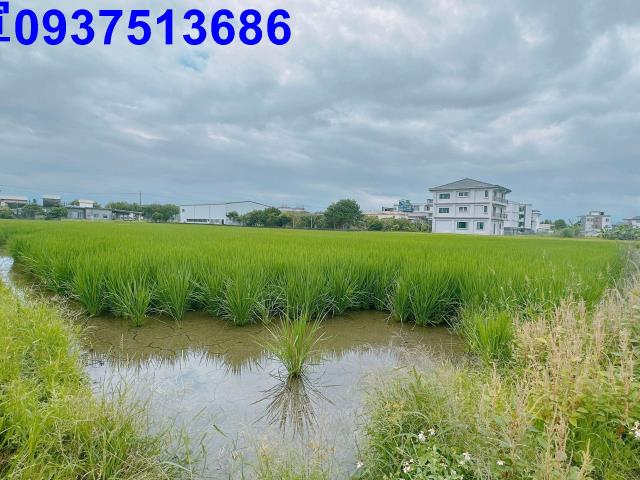 宜蘭宜蘭市農地-3