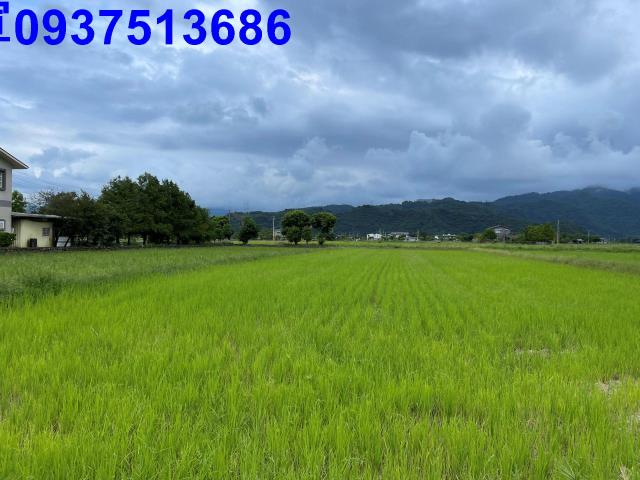 宜蘭三星農地-5