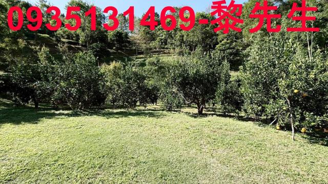 新竹峨眉農地-12