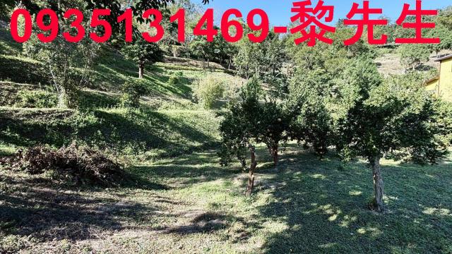 新竹峨眉農地-1