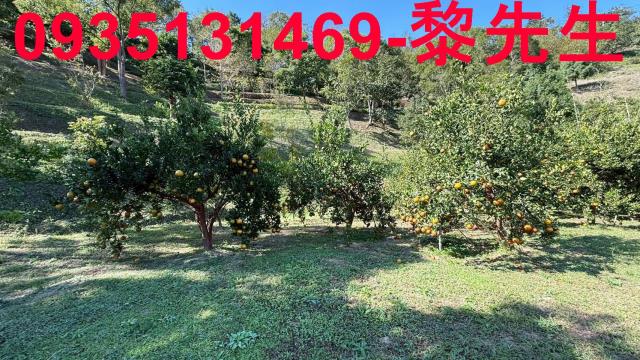 新竹峨眉農地-13