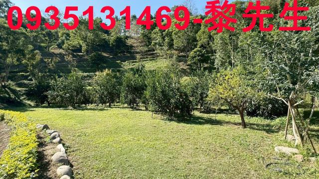 新竹峨眉農地-14