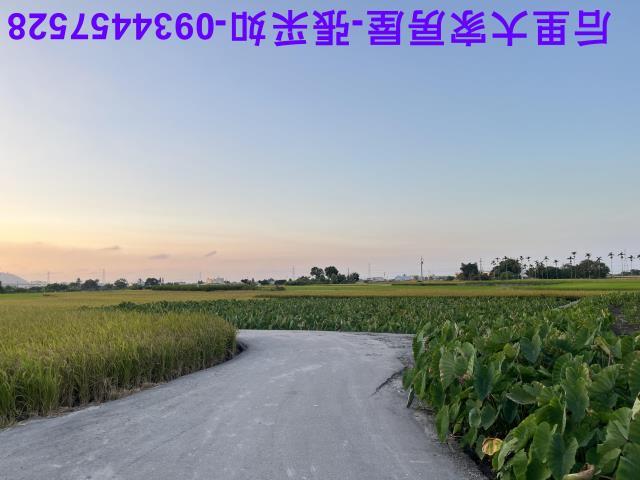 台中農地-2