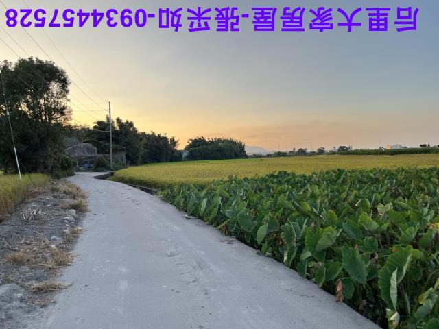台中農地-3