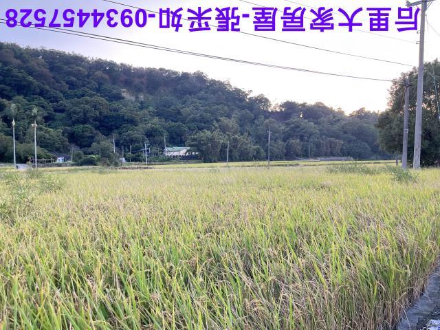台中農地-5