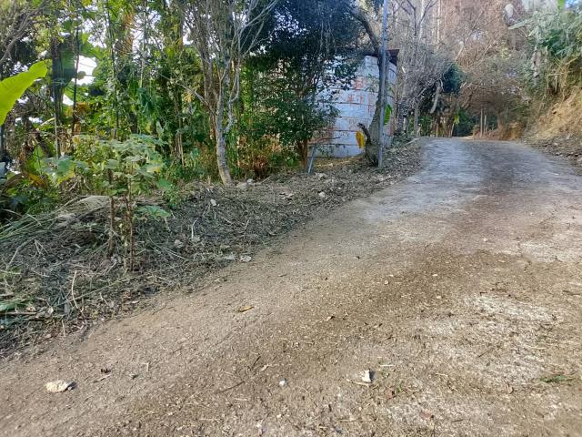 台中太平農地-5