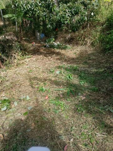 台中太平農地-9