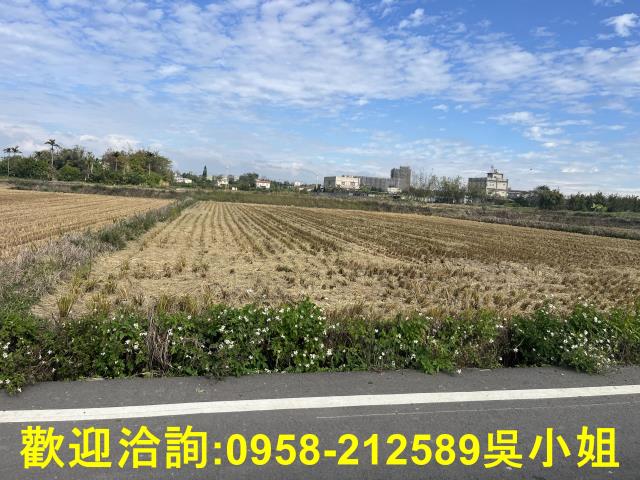 新竹新豐農地-1