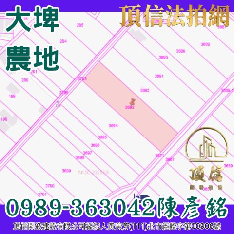 雲林大埤法拍農地-3